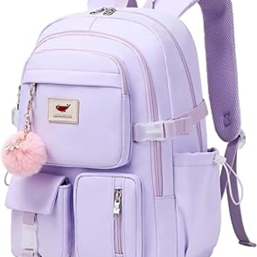 71H05efV44L._AC_SY355_ (1)